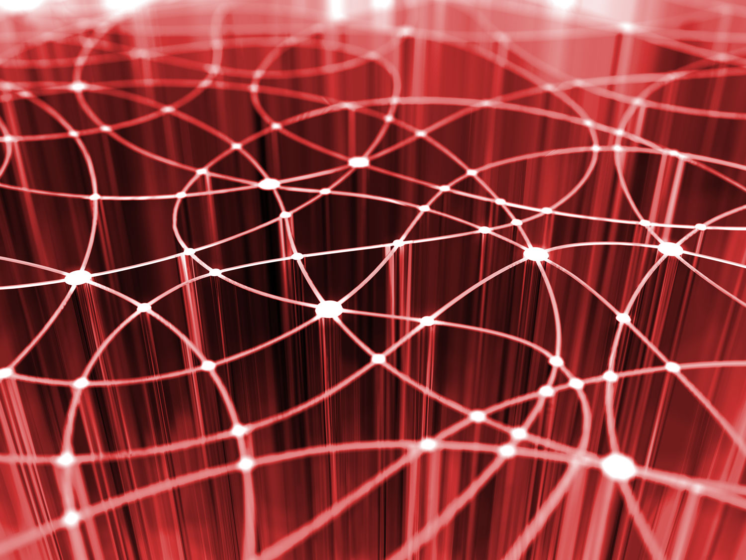 network distributivo